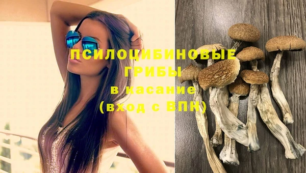 наркотики Карпинск
