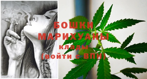 спайс Касимов
