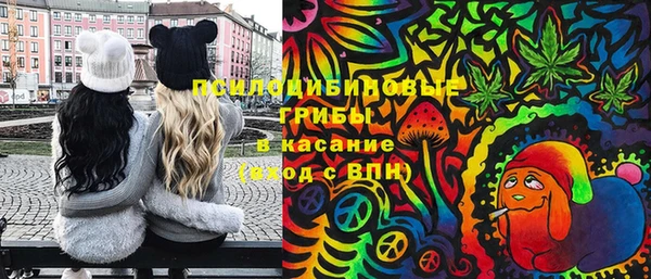 спайс Касимов