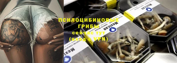 наркотики Карпинск