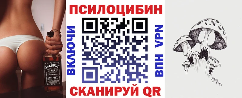 Псилоцибиновые грибы ЛСД  Купить закладки  Катайск 